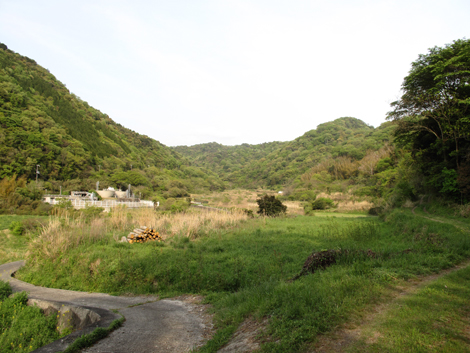 20140426hike (384)